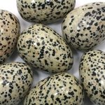 Dalmation Jasper Crystal Egg ~48mm