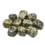 Dalmation Jasper Tumble Stone (20-25mm)