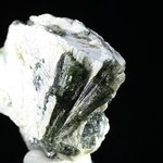 Dark Green Tourmaline in Quartz ~50mm
