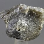 Darwin Glass Healing Crystal ~25mm