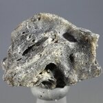 Darwin Glass Healing Crystal ~26mm