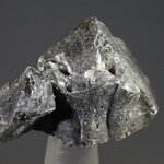 Darwin Glass Healing Crystal ~27mm