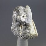 Darwin Glass Healing Crystal ~28mm
