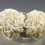 Desert Rose ~6cm