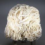 Desert Rose ~8.5cm