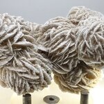 Desert Rose ~8.5cm