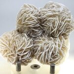 Desert Rose ~8cm