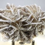 Desert Rose ~9cm
