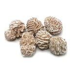 Desert Rose Specimen - Medium