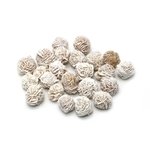 Desert Rose Specimen - Mini 10 Pack