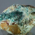 STRIKING Dioptase Mineral Specimen ~45mm