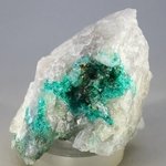 Dioptase Mineral Specimen ~57mm