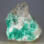 Dioptase Mineral Specimen ~60mm