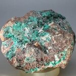 Dioptase Mineral Specimen ~60mm