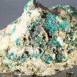 Dioptase Mineral Specimen ~62mm
