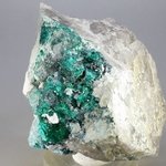 STRIKING Dioptase Mineral Specimen ~64mm