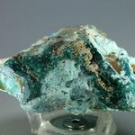 Dioptase Mineral Specimen ~66mm