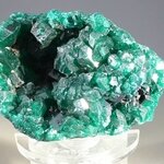 Dioptase Mineral Specimen (DRC) ~43mm