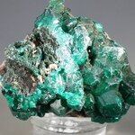 Dioptase Mineral Specimen (DRC) ~44mm