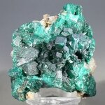 Dioptase Mineral Specimen (DRC) ~48mm
