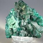 Dioptase Mineral Specimen (DRC) ~52mm
