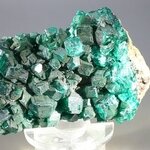 Dioptase Mineral Specimen (DRC) ~60mm