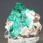 Dioptase Mineral Specimen (Tsumeb) ~32mm