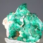 Dioptase Mineral Specimen (Tsumeb) ~35mm