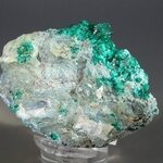 Dioptase Mineral Specimen (Tsumeb) ~62mm