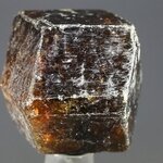 Dravite (Brown Tourmaline) Healing Crystal (India) ~23mm