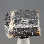 Dravite (Brown Tourmaline) Healing Crystal (India) ~23mm