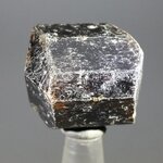 Dravite (Brown Tourmaline) Healing Crystal (India) ~25mm