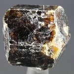 Dravite (Brown Tourmaline) Healing Crystal (India) ~25mm