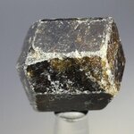 Dravite (Brown Tourmaline) Healing Crystal (India) ~26mm