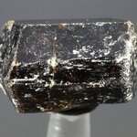 Dravite (Brown Tourmaline) Healing Crystal (India) ~27mm