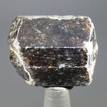 Dravite (Brown Tourmaline) Healing Crystal (India) ~28mm