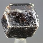 Dravite (Brown Tourmaline) Healing Crystal (India) ~28mm