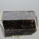 Dravite (Brown Tourmaline) Healing Crystal (India) ~32mm