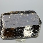 Dravite (Brown Tourmaline) Healing Crystal (India) ~35mm