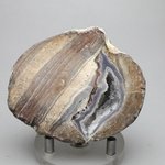 Dugway Agate Geode ~70mm