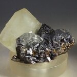 Elmwood Calcite Mineral Specimen ~45mm