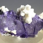 Elmwood Fluorite & Dolomite Mineral Specimen (U.S.A.) ~37mm