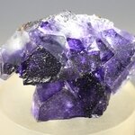 Elmwood Fluorite & Sphalerite Mineral Specimen (U.S.A.) ~37mm