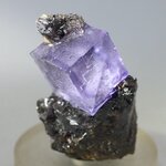 Elmwood Fluorite & Sphalerite Mineral Specimen (U.S.A.) ~40mm