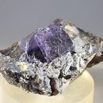 Elmwood Fluorite & Sphalerite Mineral Specimen (U.S.A.) ~40mm