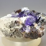 Elmwood Fluorite & Sphalerite Mineral Specimen (U.S.A.) ~41mm