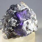 Elmwood Fluorite & Sphalerite Mineral Specimen (U.S.A.) ~48mm