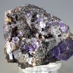 Elmwood Fluorite & Sphalerite Mineral Specimen (U.S.A.) ~48mm