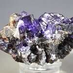 Elmwood Fluorite & Sphalerite Mineral Specimen (U.S.A.) ~55mm