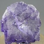 Elmwood Fluorite Mineral Specimen (U.S.A.) ~30mm